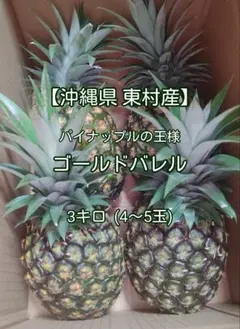 【沖縄県 東村産】ゴールドバレル 3キロ (4～5玉)のサムネイル