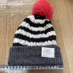 ストライプニット帽