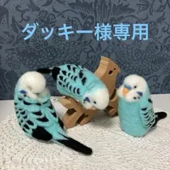 リクエストNO.2608☆セキセイインコ☆3点セット