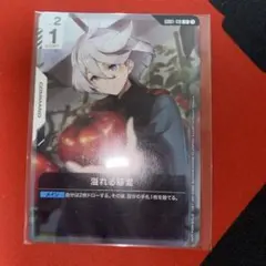 ガンダムカードゲーム 溢れる慈愛 プロモ パラレル ニュータイプ