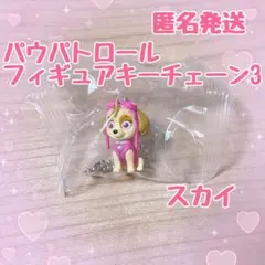 【匿名発送】パウパトロール スカイ フィギュアキーチェーン3