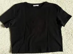 ZARA クロップドtシャツ