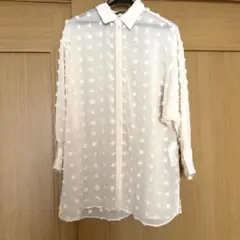 ZARA シースルーシャツのサムネイル
