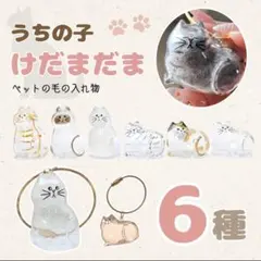 けだまだま コンプリート 猫 キーホルダー 6種セット 猫の毛入れ ストラップ