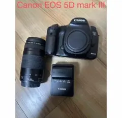 2026年最新】eos 5d ジャンクの人気アイテム - メルカリ