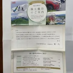 日本駐車場開発 1セット 株主優待　 <最新版>