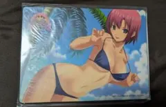 Item thumbnail for item 51e55335-ba33-45f5-9439-54a197833153