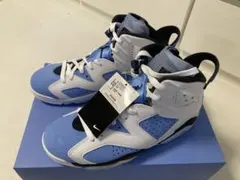 Nike Air Jordan 6 