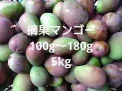 宮崎県産ブルーマンゴー【10kg】100g前後多め⭐︎ - メルカリ
