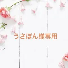 うさぽん様専用