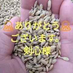 2026年最新】コシヒカリ種籾の人気アイテム - メルカリ