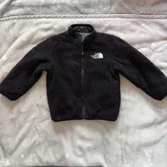 ザノースフェイス 100