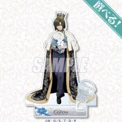 ヒカルの碁 くじ引き堂 塔矢アキラ S賞 アクリルスタンド バースデー