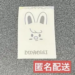 SKZOO ステッカー トゥェッキ チャンビン STAYZONE ペンライト