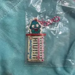 即日発送可　チャーミングコーム　アクリルチャーム　ハンギョドン