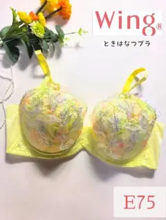 ワコール ウィング ときはなつブラ 3/4カップブラ段差軽減 E75 イエローのサムネイル
