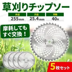 칩 톱, 블레이드 40개, 255mm, 5개 세트, 교체용 블레이드, 잔디 절단기, 브러시 커터, 잡초 제거제
