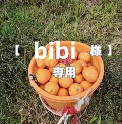 【bibi 様】専用