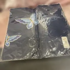 Item thumbnail for item e1cfe537-fc52-4861-80a4-ed339dd278b1