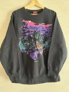 2025年最新】HIDE AND SEEK メンズ トレーナー・スウェットの人気