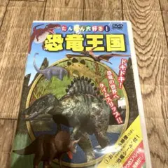 恐竜王国 PKD-102 幼児向け DVD