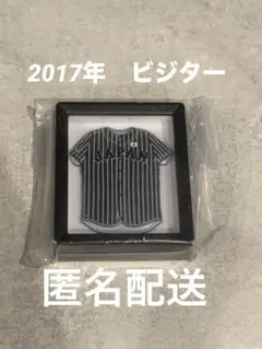 Item thumbnail for item 97366d61-b53d-46f9-8b1c-287265da6670