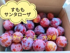 すもも　サンタローザ　山梨県産　小玉2.7kgのサムネイル