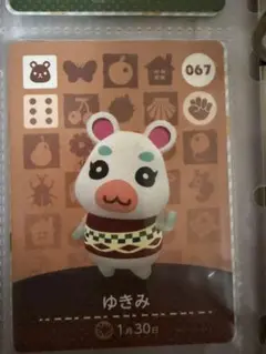 あつ森 amiiboカード ゆきみ