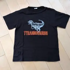 BREEZE ティラノサウルス Tシャツ 140