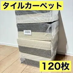 Item thumbnail for item 5afaf794-f29c-47b6-911d-76a9ea92361b