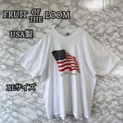 869 古着 90s FRUIT OF THE LOOM Tシャツ USA製