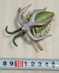 ●古代カンブリア紀の生きもの（モンスターフィギュア）マルレラのサムネイル