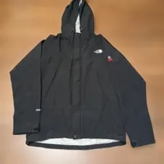 THE NORTH FACE SUMMIT SERIES GORE-TEX