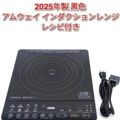 Amway QUEEN e インダクションレンジ　284809J　黒　アムウェイ Amway QUEEN e インダクションレンジ 284809J 黒 アムウェイ