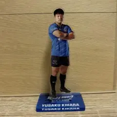 2026年最新】ワイルドナイツ ラグビーの人気アイテム - メルカリ
