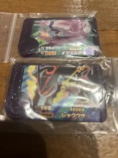 フレンダ　ST メガレックウザ　メガジガルデ　黒　白　色違い