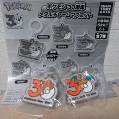 ポケモン 30周年 メタルチャームマスコット　ヒトカゲ　リザードン