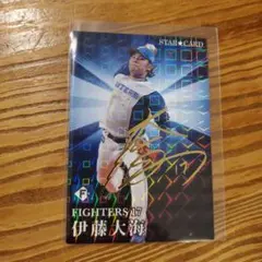 野球チップス　2023　伊藤大海　スターカード　サイン入り