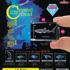 【フルコンプ】 クリスタルキューボイド mini 暖かい海 【全6種セット】