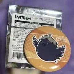 ハイキュー！！ 缶バッジ カラスノガラスver. 菅原孝支