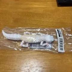 値下げBANDAI いきもの大図鑑アドバンス　ヒョウモントカゲモドキブリザード