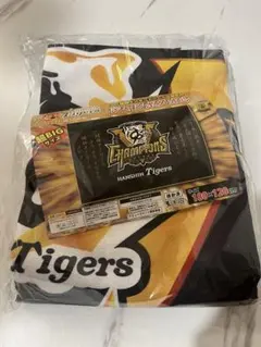 Item thumbnail for item ea206618-5de1-4006-a6be-8f91a6888400