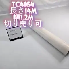 Item thumbnail for item 40ac24ac-46c8-4e92-8afb-bc63b84f84f4