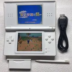 2026年最新】ds lite ソフトの人気アイテム - メルカリ
