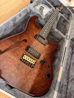 【早い者勝ち】SCHECTER 限定ハワイアンコア SD-2-24 激レア極上品 早い者勝ち】SCHECTER 限定ハワイアンコア SD-2-24 激レア極上品