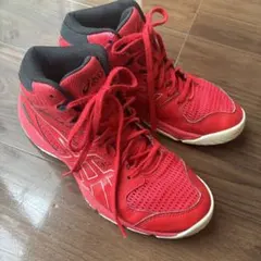 ジュニア用 インドアシューズ／トレーニングシューズ 品番：1064A010