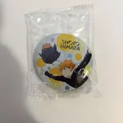 ハイキュー!! playingマスコット 缶バッジ ガチャガチャ 日向翔陽 日向