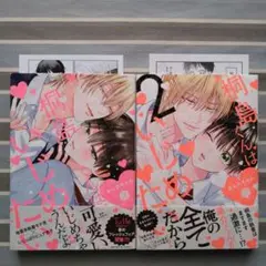 BL 桐島くんはいじめたい あられちゃん 2冊セット