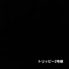 2026年最新】ピカチュウ ar 9枚セットの人気アイテム - メルカリ
