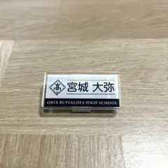 オリックスバファローズ宮城大弥　バッジ